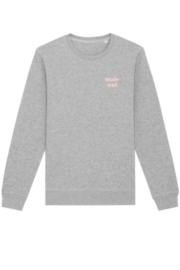 mais-oui-sweater-grijs-kleine-opdruk-roze.jpg