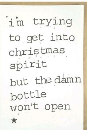 trying-to-get-into-christams-spirits.jpg